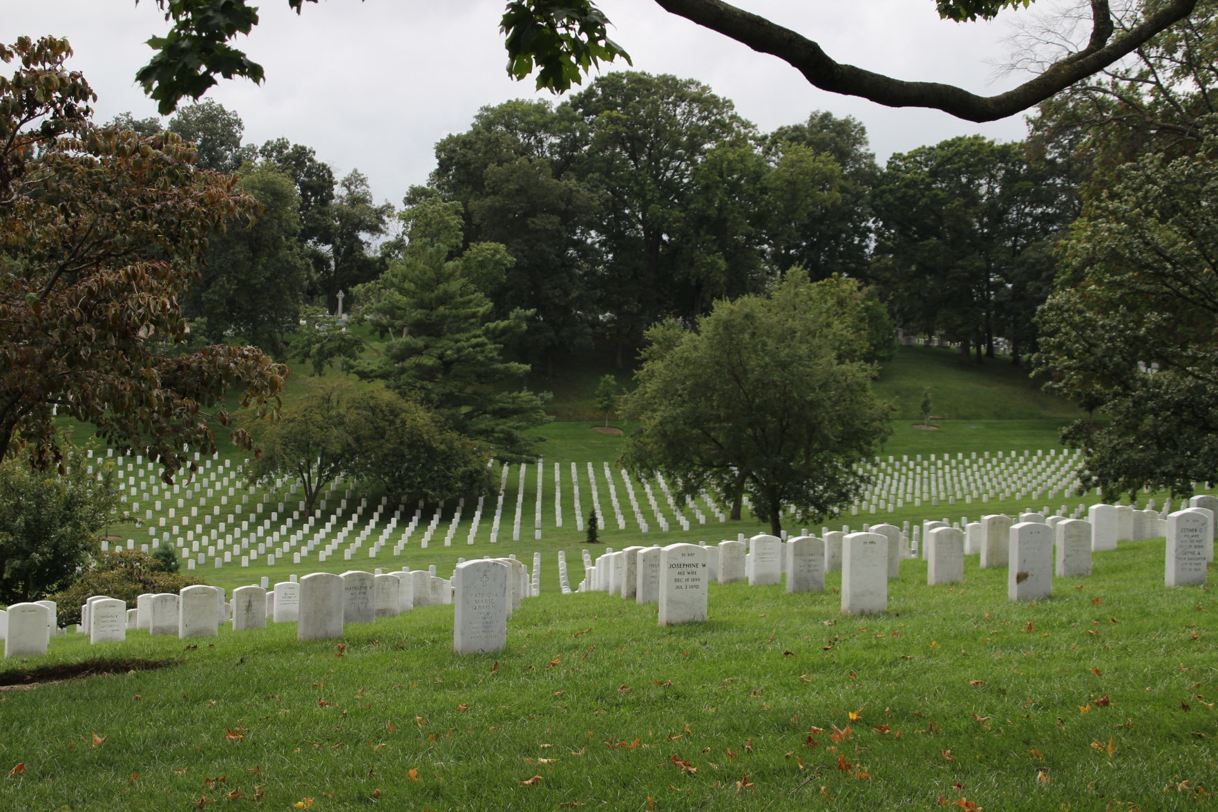 Arlington - 9